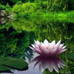 Profile photo of supun122