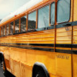 Profile photo of Madusanka