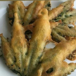 Profile picture of Hiru