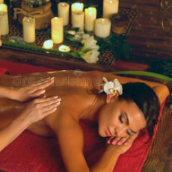 Profile picture of shan