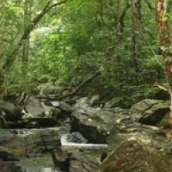 Profile picture of Kamal