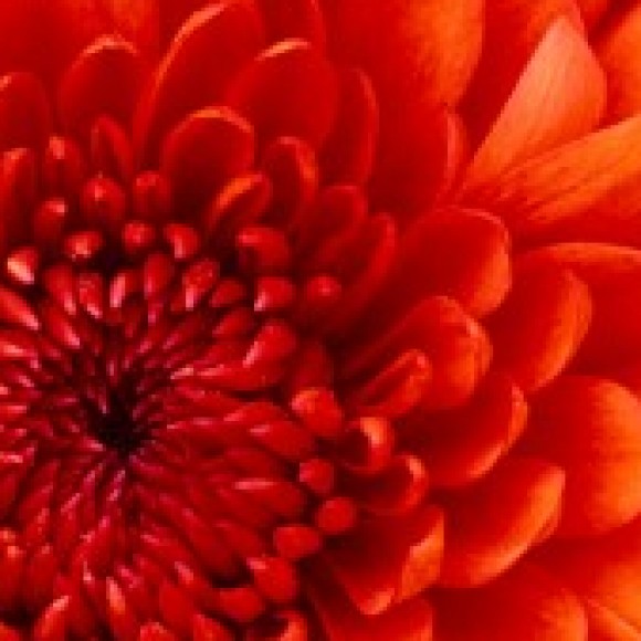 Profile photo of Vinoth