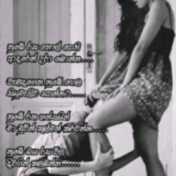 Profile photo of Nadun