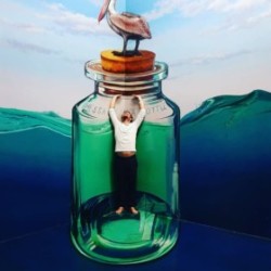 Profile photo of dav