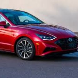 Profile picture of SP Sandaruwan