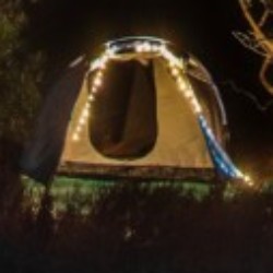 Profile photo of namal