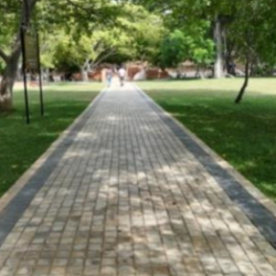 Profile photo of Nisala