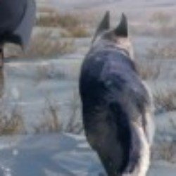 Profile photo of Thilina