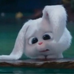 Profile photo of R.W