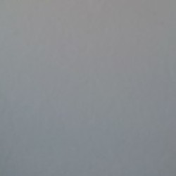 Profile picture of Harsha