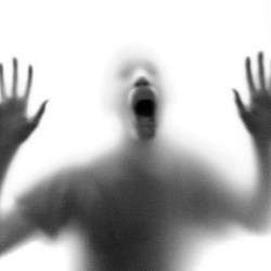 Profile picture of wal kolla