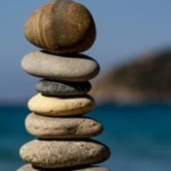 Profile picture of sahn