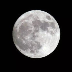 Profile photo of BC Michael