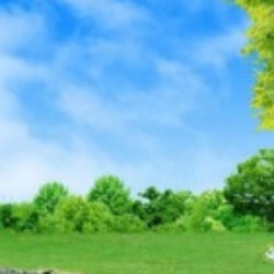 Profile photo of coolme