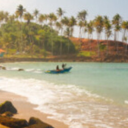 Profile photo of CHAMIKA EDIRIMANNA