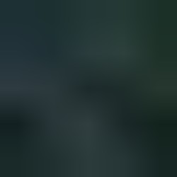 Profile picture of Shanka