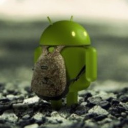 Profile photo of Kamal