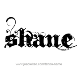 Profile picture of Shane Boy