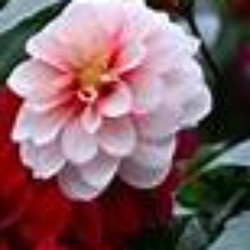 Profile photo of supun