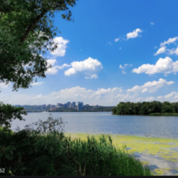 Profile picture of Sandaun Chamikara