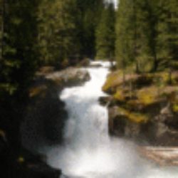 Profile picture of hardcore like girls only