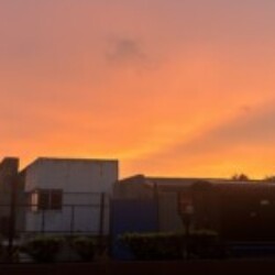 Profile picture of Anjana