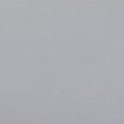 Profile photo of pasan