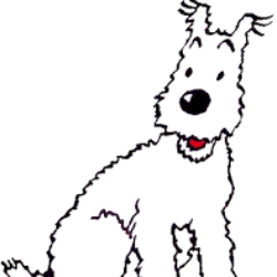 Profile picture of ArunaSena