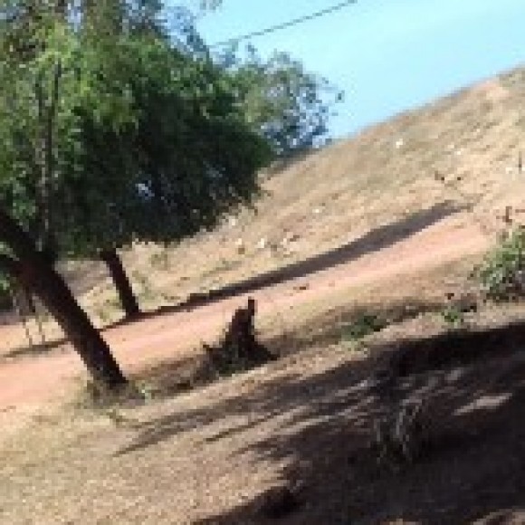 Profile picture of sarath