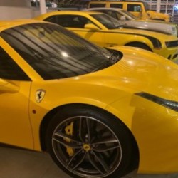 Profile photo of Pradino Pradi