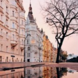 Profile photo of Rocky