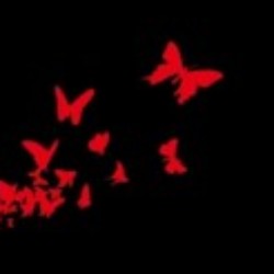 Profile picture of kaviru