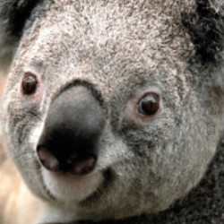 Profile picture of prabath