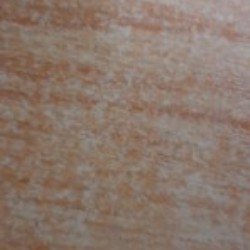 Profile photo of kamal