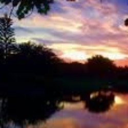 Profile photo of niroshan