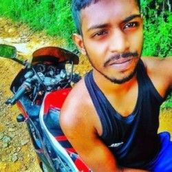 Profile picture of dilshan