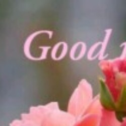 Profile photo of 54m