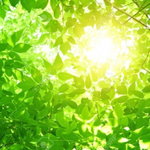 Profile photo of Nala