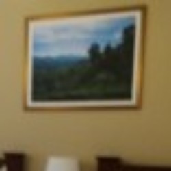 Profile photo of Don123w