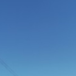 Profile photo of steve alwis