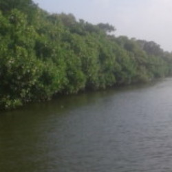 Profile photo of Chandana