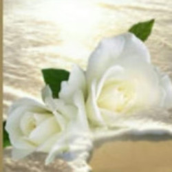 Profile picture of Supun de silva