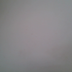 Profile photo of disshan