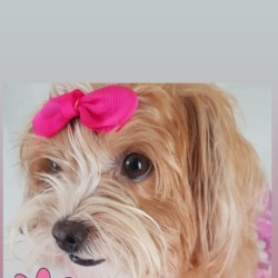 Profile photo of Sudu