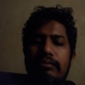 Profile picture of N Dissanayake