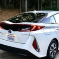 Profile picture of dilan35