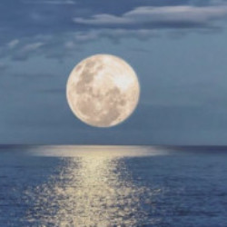 Profile photo of supun sandharu