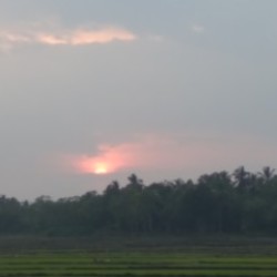 Profile photo of Madura