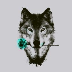 Profile photo of Supun Sudaraka