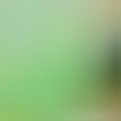 Profile photo of Vidarshana